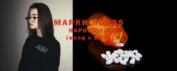 винт Алзамай