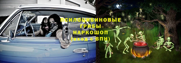 винт Алзамай