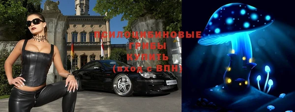 винт Алзамай