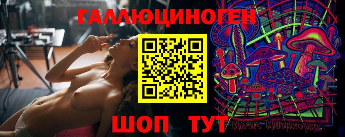Галлюциногенные грибы Psilocybe Родники