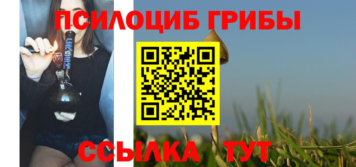 Псилоцибиновые грибы Cubensis  Галлюциногенные грибы Psilocybe  Вход с VPN  Родники 
